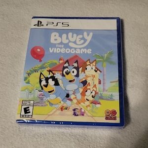 Bluey Adventure Game for PS5